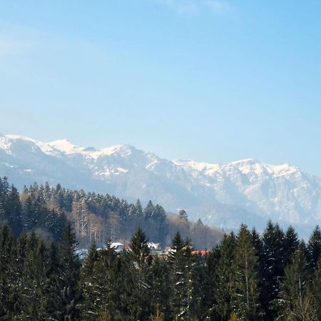 Vintage Home Sinaia Exterior foto